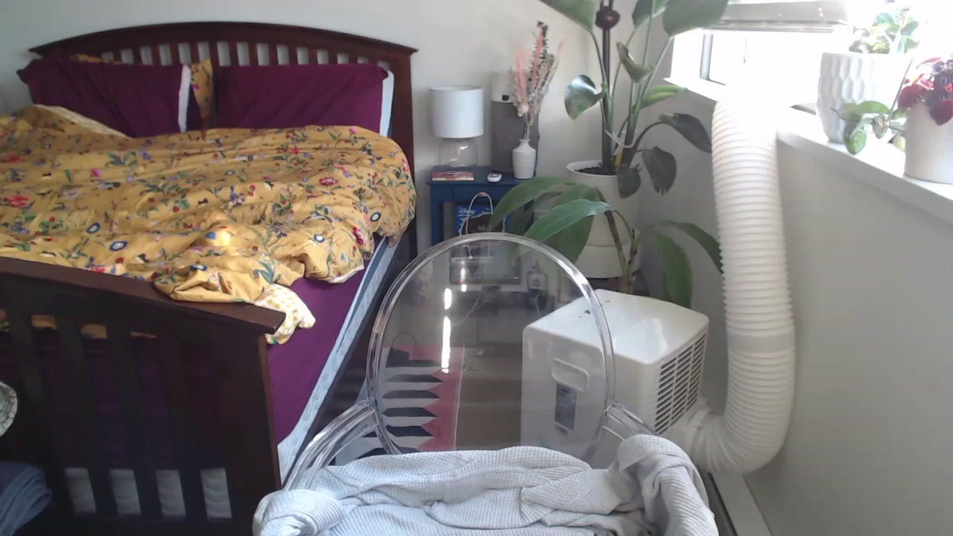 Gallery image thumbnail from AAAAAGHHHHHHH's myfreecams stream on, 07/09/2023, 02:59 image 11 of 20