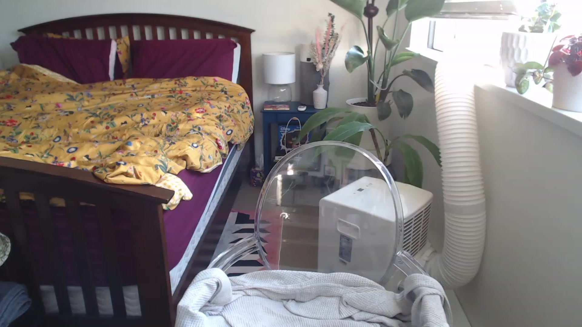 Gallery image thumbnail from AAAAAGHHHHHHH's myfreecams stream on, 07/09/2023, 02:59 image 17 of 20