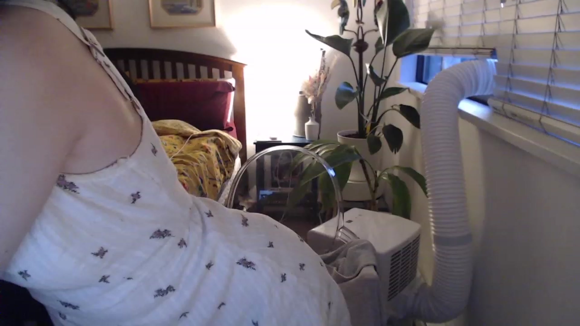 Gallery image thumbnail from AAAAAGHHHHHHH's myfreecams stream on, 07/12/2023, 04:37 image 19 of 20