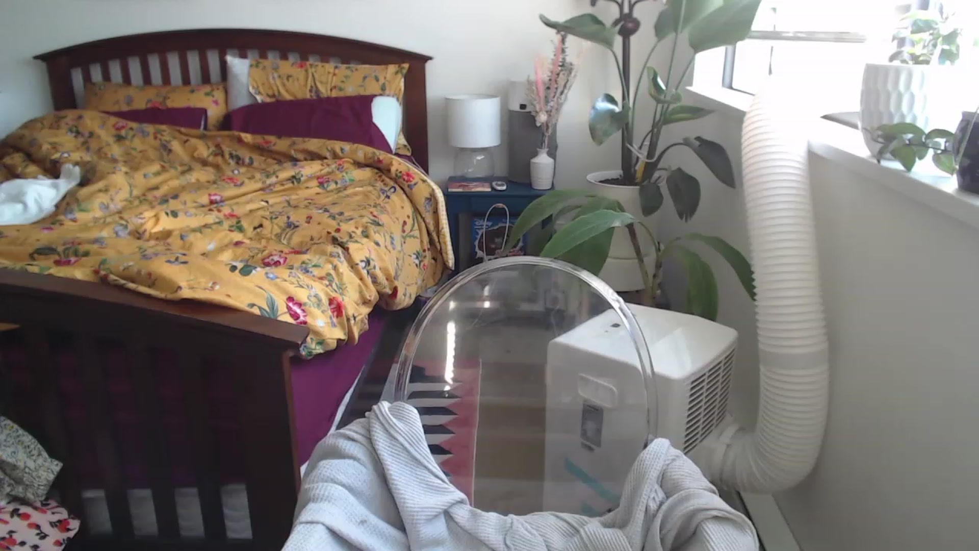 Gallery image thumbnail from AAAAAGHHHHHHH's myfreecams stream on, 07/19/2023, 03:23 image 5 of 20