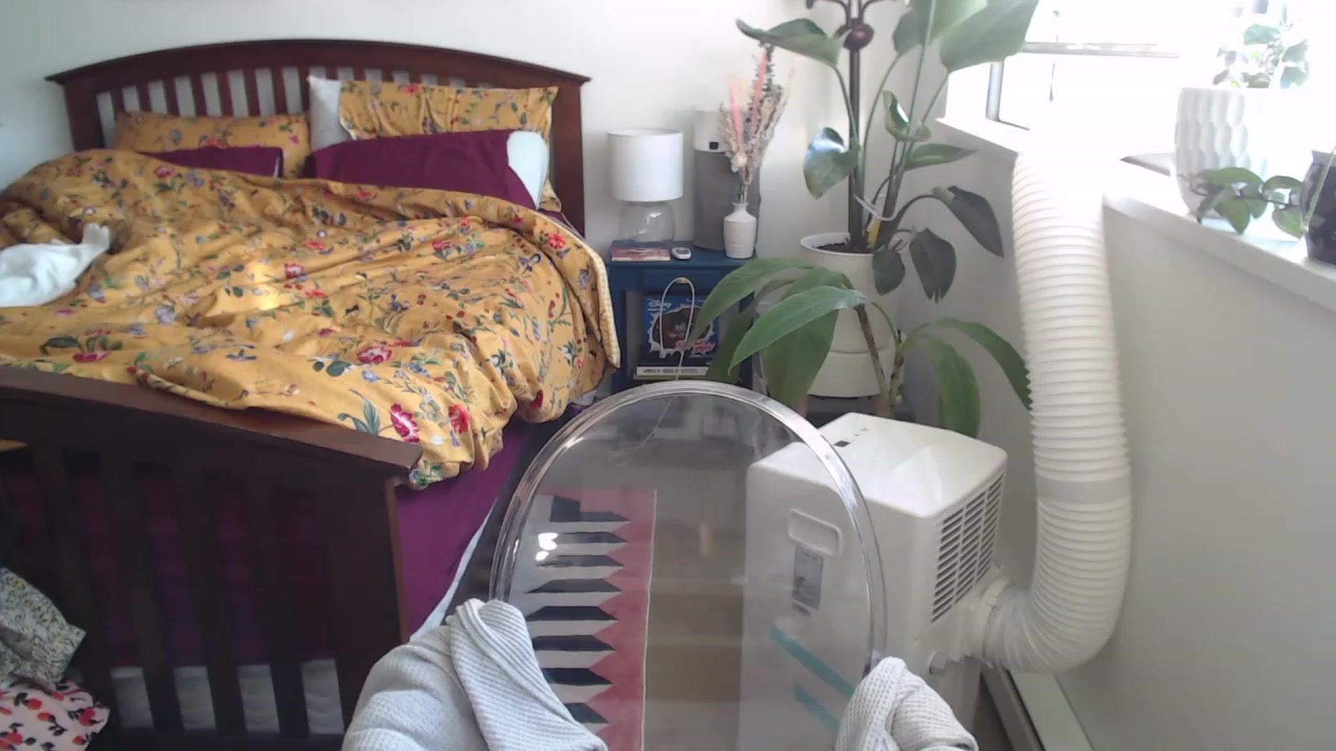 Gallery image thumbnail from AAAAAGHHHHHHH's myfreecams stream on, 07/19/2023, 03:23 image 7 of 20