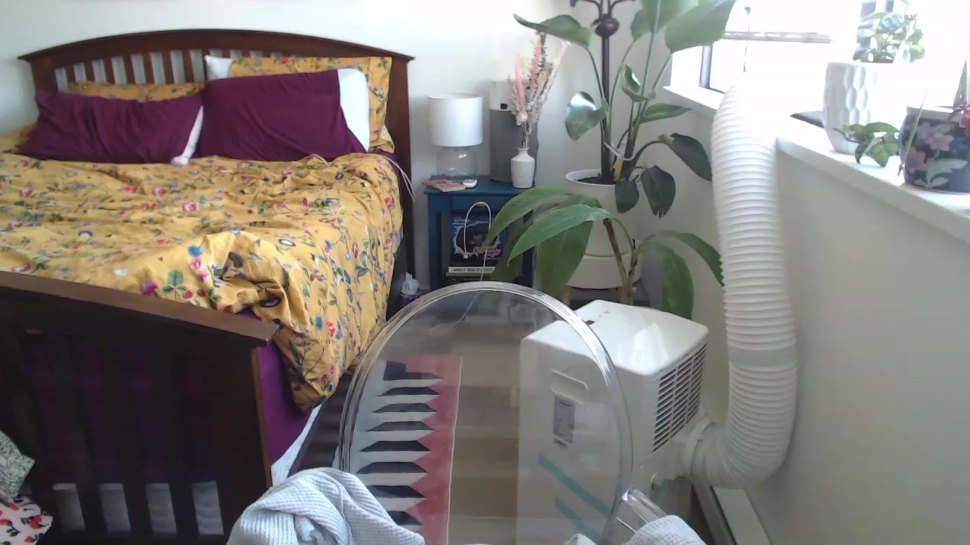 Gallery image thumbnail from AAAAAGHHHHHHH's myfreecams stream on, 07/20/2023, 02:35 image 1 of 20