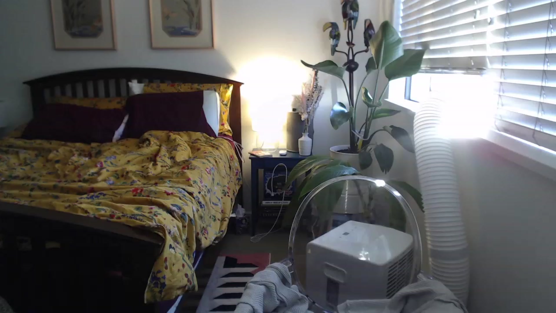 Gallery image thumbnail from AAAAAGHHHHHHH's myfreecams stream on, 07/21/2023, 03:55 image 4 of 20