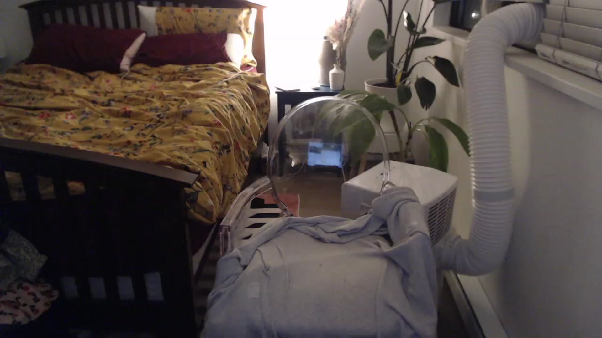 Gallery image thumbnail from AAAAAGHHHHHHH's myfreecams stream on, 07/22/2023, 06:05 image 17 of 20