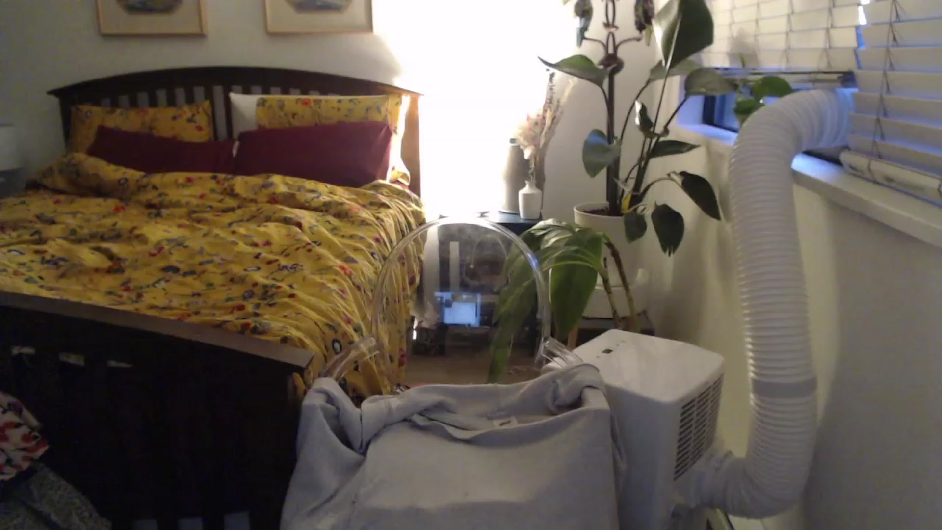 Gallery image thumbnail from AAAAAGHHHHHHH's myfreecams stream on, 07/29/2023, 05:52 image 2 of 20