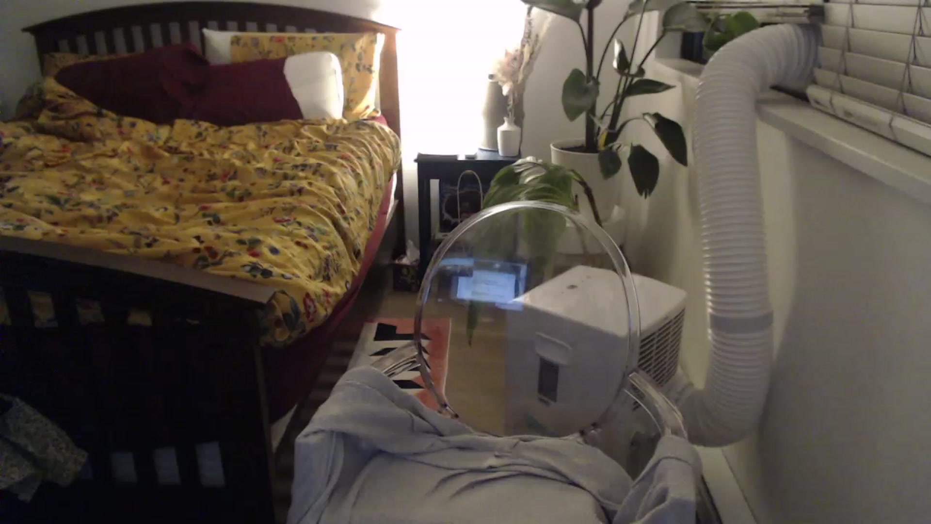 Gallery image thumbnail from AAAAAGHHHHHHH's myfreecams stream on, 08/03/2023, 05:00 image 15 of 20