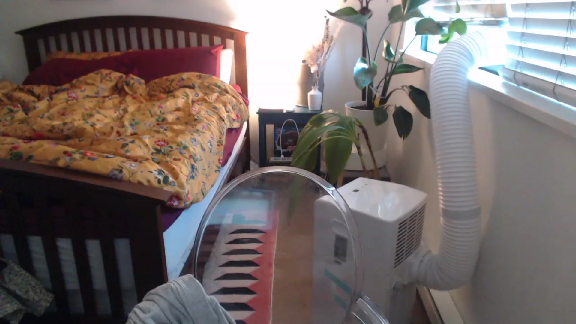 Gallery image thumbnail from AAAAAGHHHHHHH's myfreecams stream on, 08/08/2023, 03:18 image 3 of 20