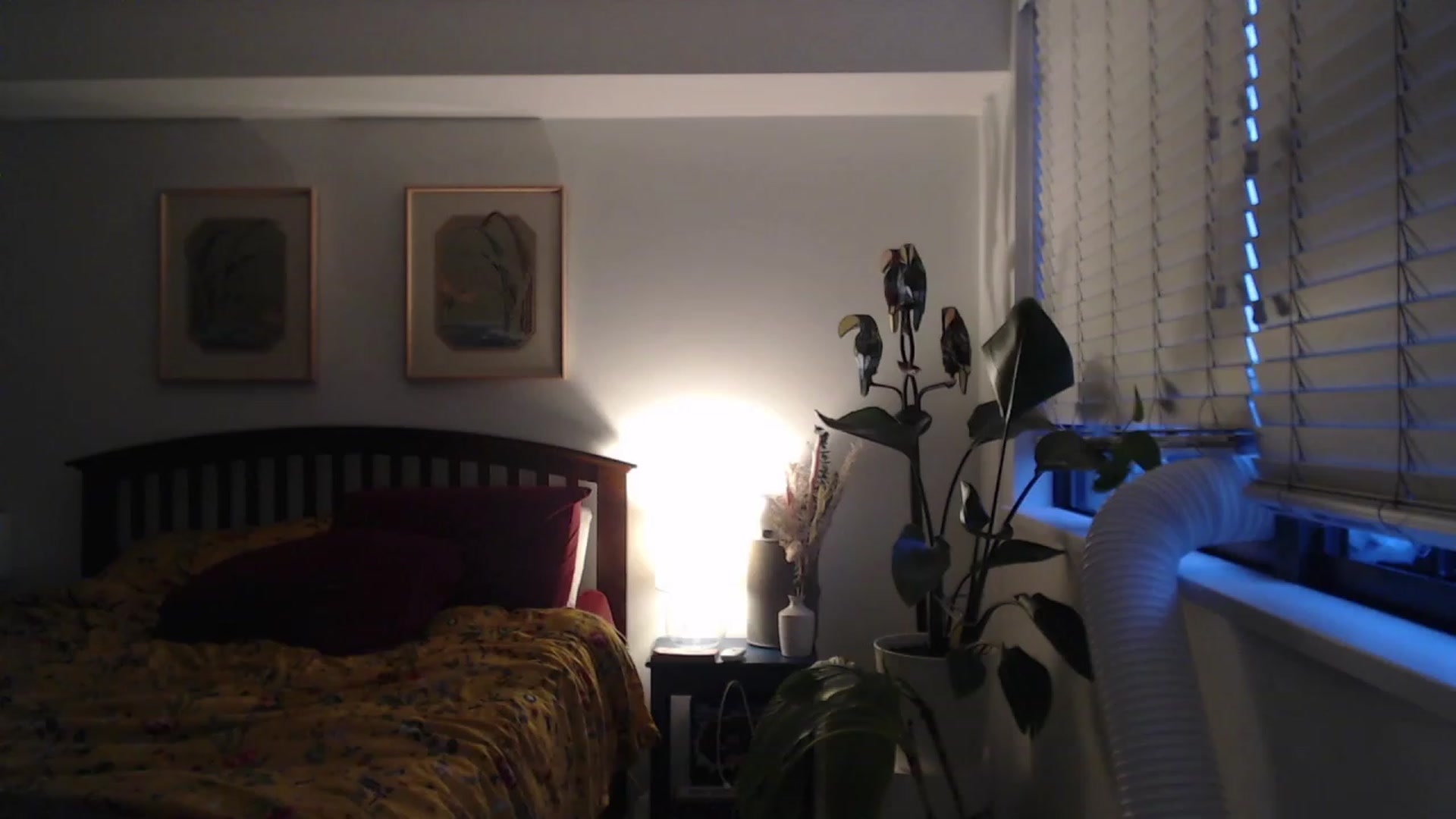 Gallery image thumbnail from AAAAAGHHHHHHH's myfreecams stream on, 08/09/2023, 03:59 image 12 of 20