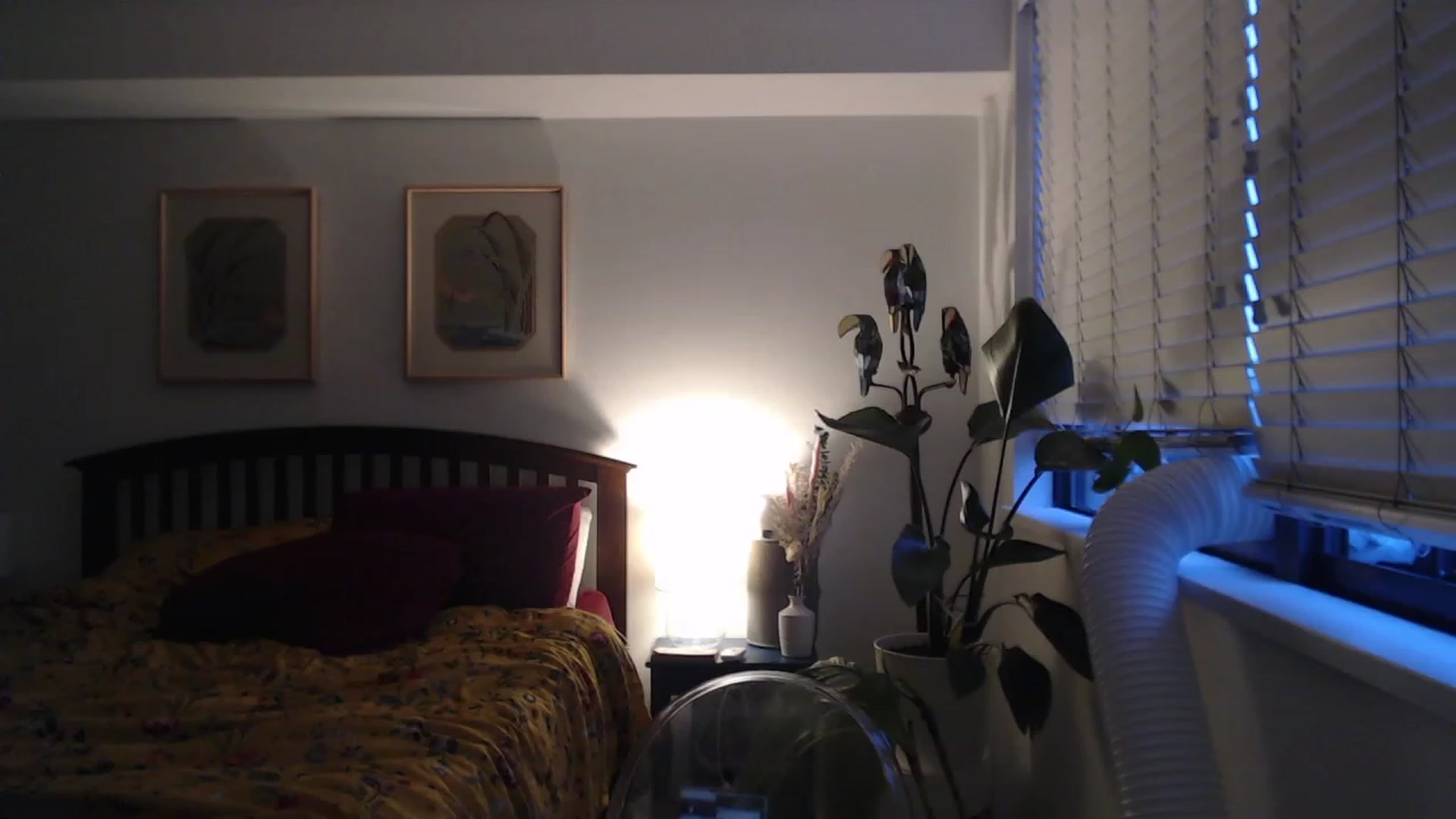 Gallery image thumbnail from AAAAAGHHHHHHH's myfreecams stream on, 08/09/2023, 03:59 image 9 of 20