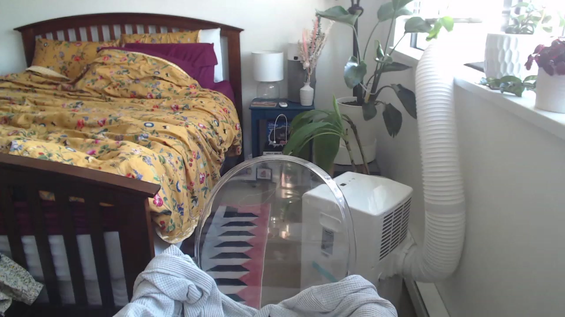 Gallery image thumbnail from AAAAAGHHHHHHH's myfreecams stream on, 08/13/2023, 02:05 image 14 of 20