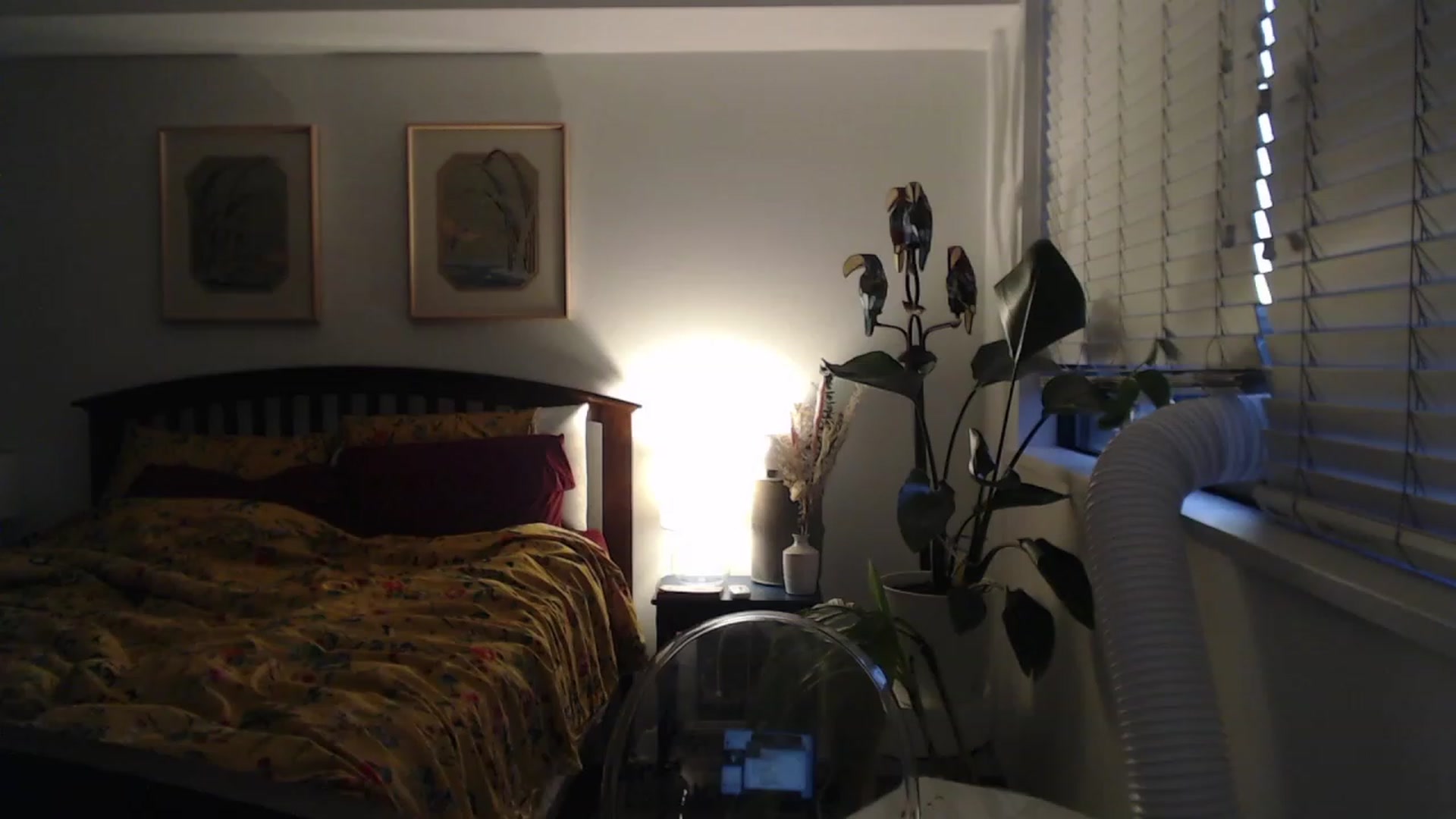 Gallery image thumbnail from AAAAAGHHHHHHH's myfreecams stream on, 08/14/2023, 04:13 image 8 of 20