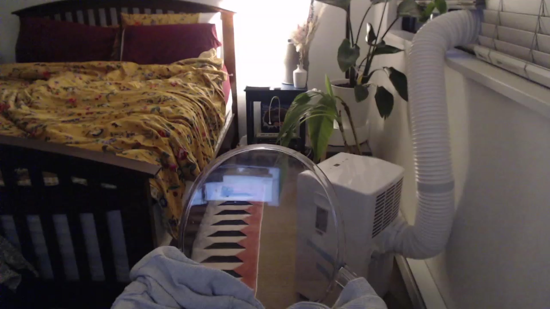 Gallery image thumbnail from AAAAAGHHHHHHH's myfreecams stream on, 08/15/2023, 05:00 image 2 of 20