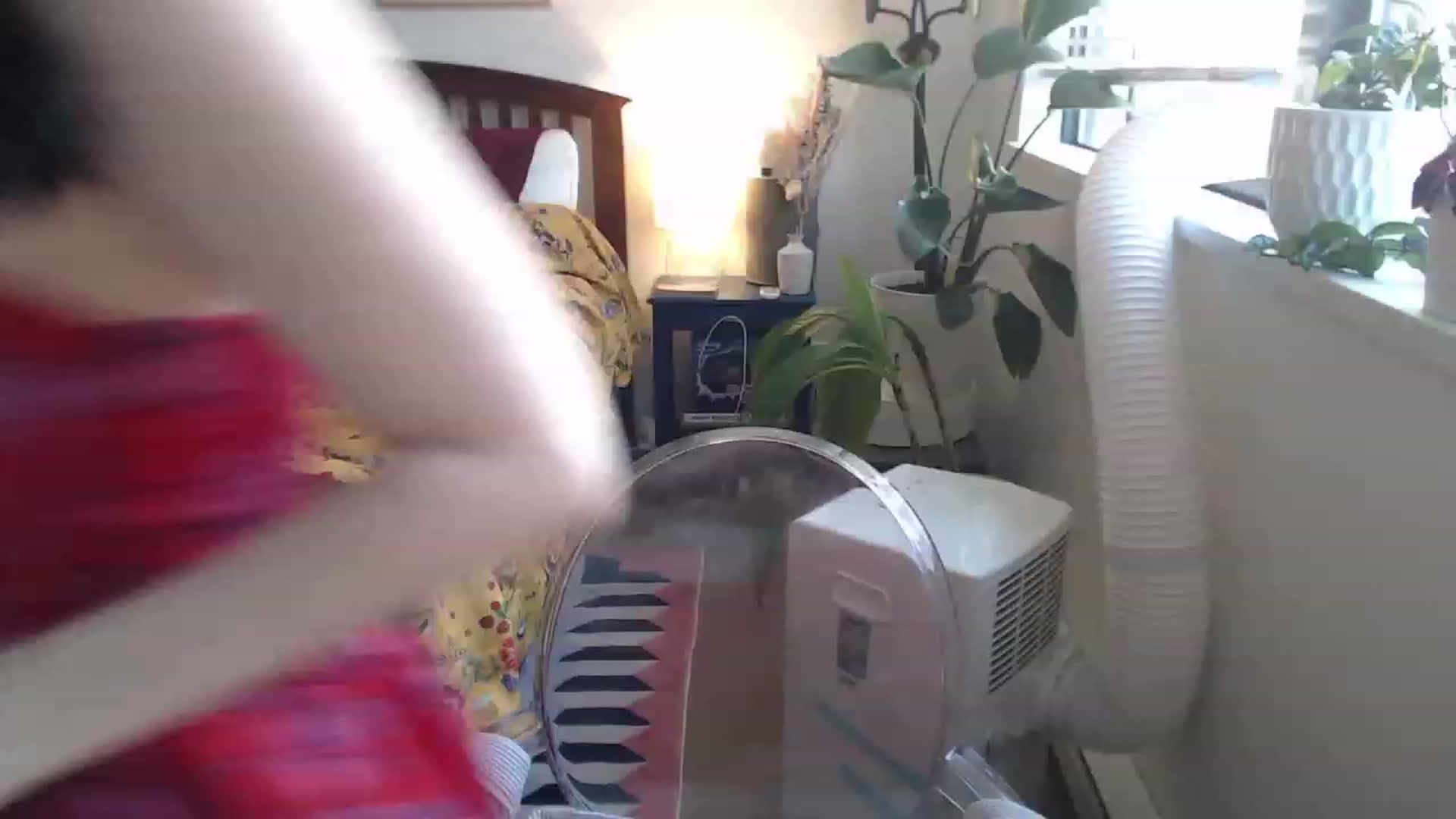 Gallery image thumbnail from AAAAAGHHHHHHH's myfreecams stream on, 08/22/2023, 04:12 image 8 of 20