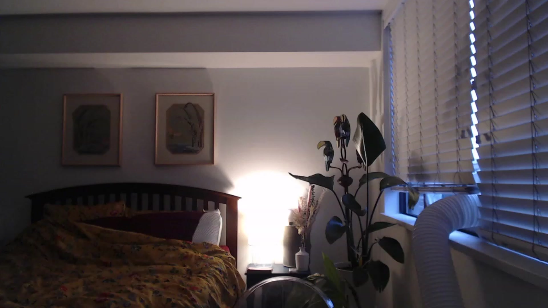 Gallery image thumbnail from AAAAAGHHHHHHH's myfreecams stream on, 08/24/2023, 04:33 image 5 of 20