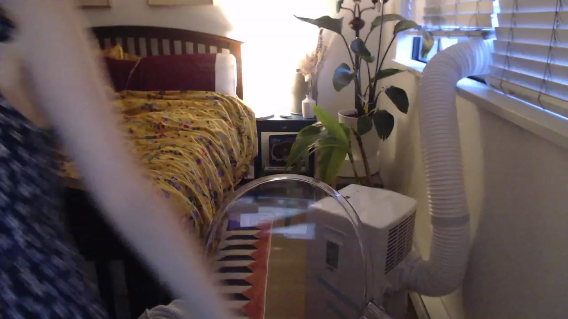 Gallery image thumbnail from AAAAAGHHHHHHH's myfreecams stream on, 08/29/2023, 03:08 image 3 of 20