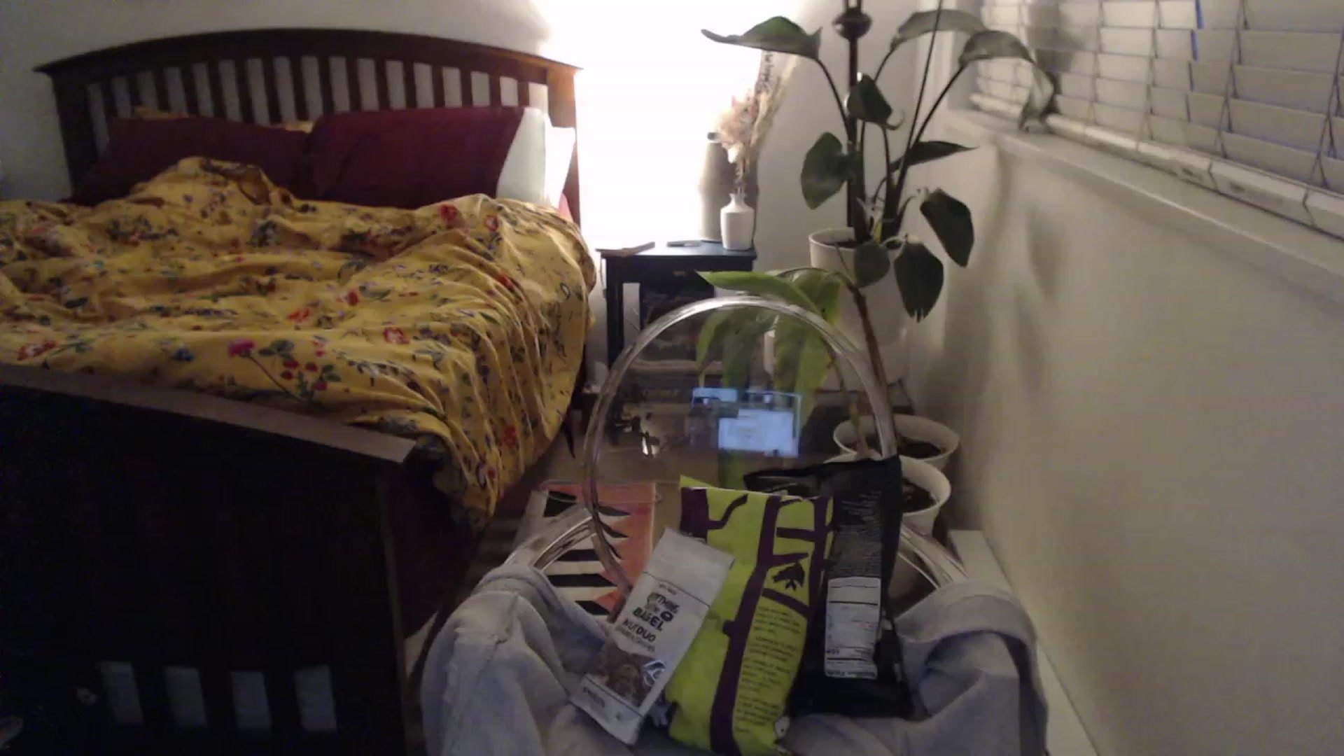 Gallery image thumbnail from AAAAAGHHHHHHH's myfreecams stream on, 09/21/2023, 03:21 image 9 of 20