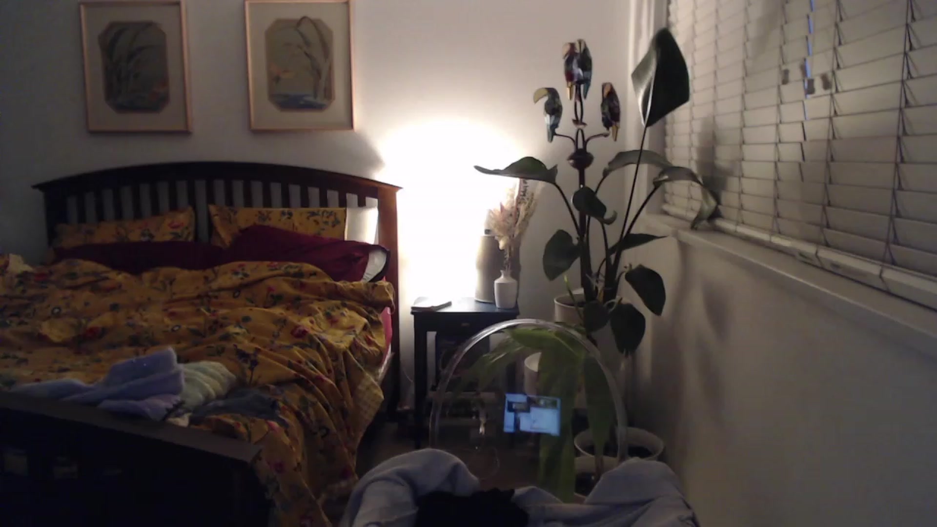 Gallery image thumbnail from AAAAAGHHHHHHH's myfreecams stream on, 10/12/2023, 02:49 image 2 of 20