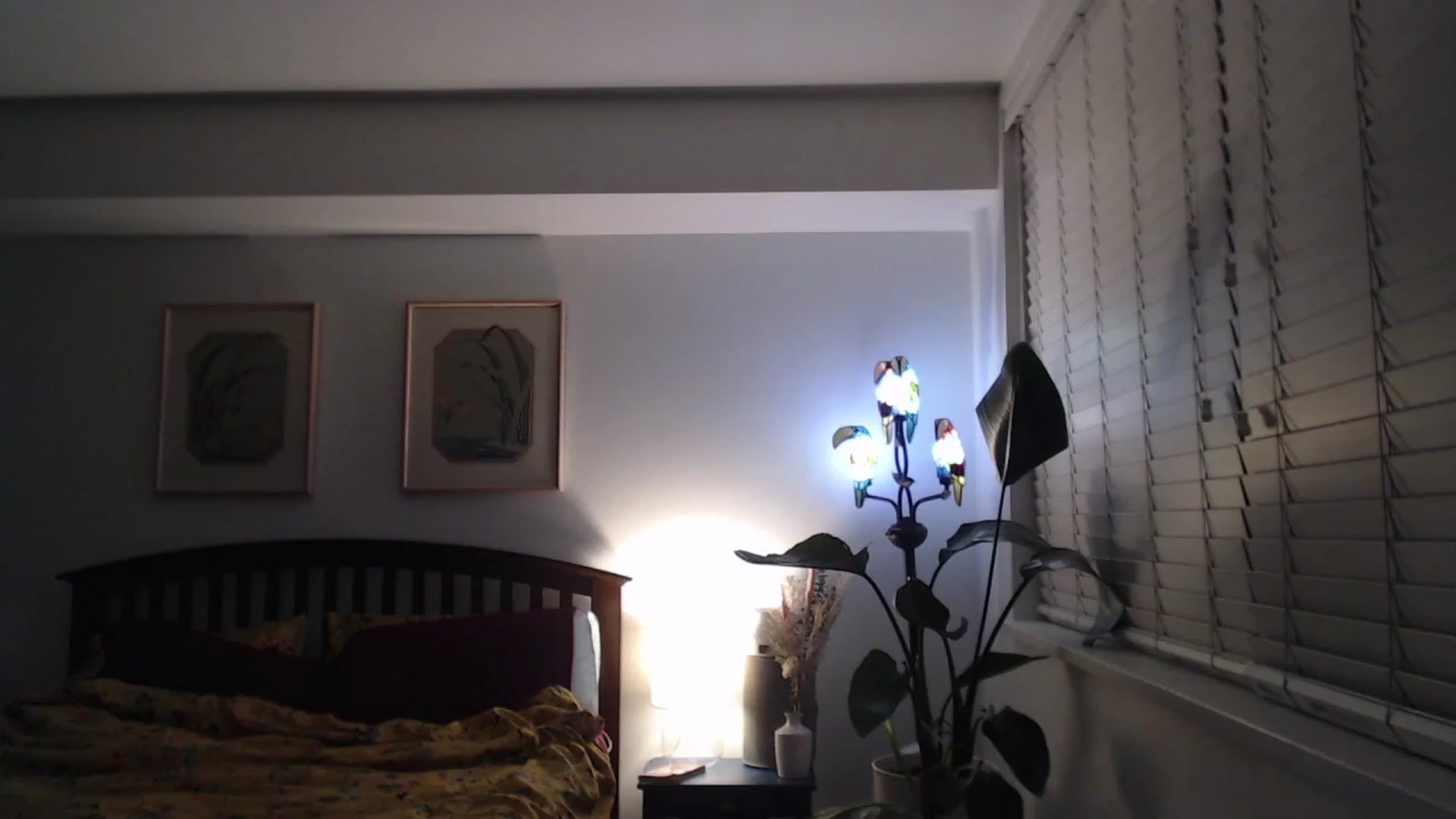 Gallery image thumbnail from AAAAAGHHHHHHH's myfreecams stream on, 10/18/2023, 02:42 image 11 of 20