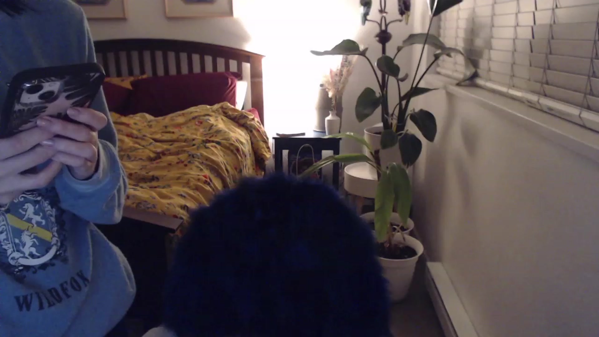 Gallery image thumbnail from AAAAAGHHHHHHH's myfreecams stream on, 11/20/2023, 03:25 image 4 of 20