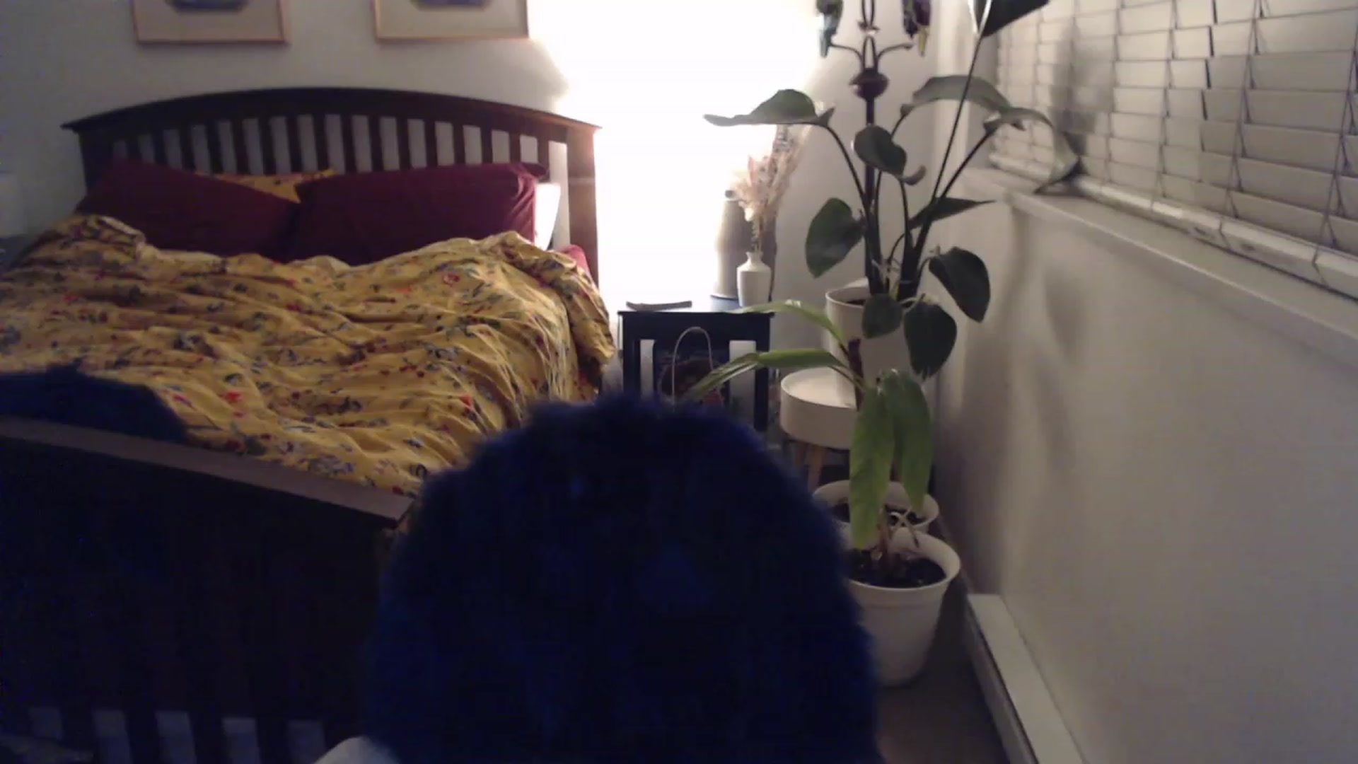 Gallery image thumbnail from AAAAAGHHHHHHH's myfreecams stream on, 11/20/2023, 03:25 image 3 of 20