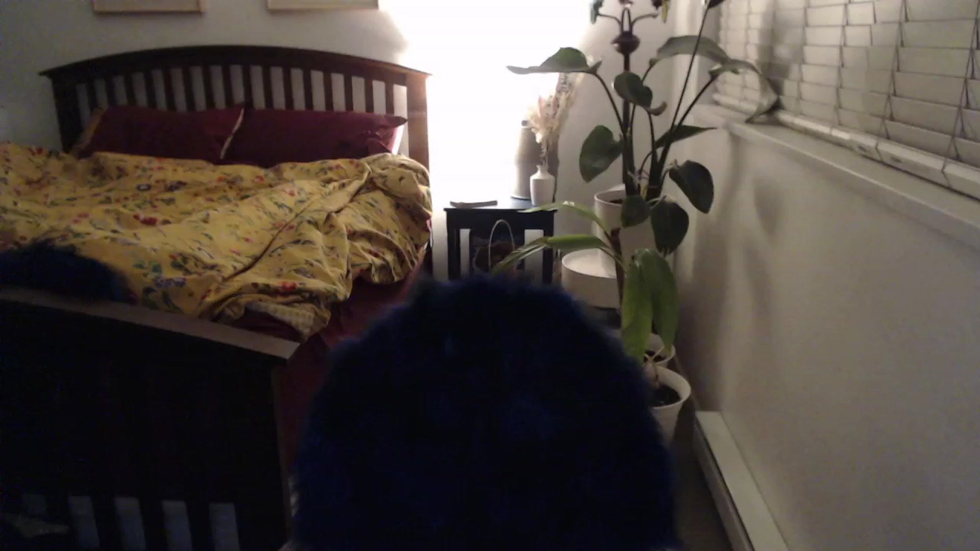 Gallery image thumbnail from AAAAAGHHHHHHH's myfreecams stream on, 11/22/2023, 03:09 image 18 of 20