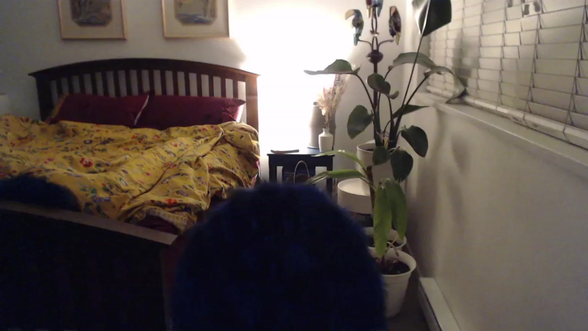 Gallery image thumbnail from AAAAAGHHHHHHH's myfreecams stream on, 11/22/2023, 05:47 image 12 of 20