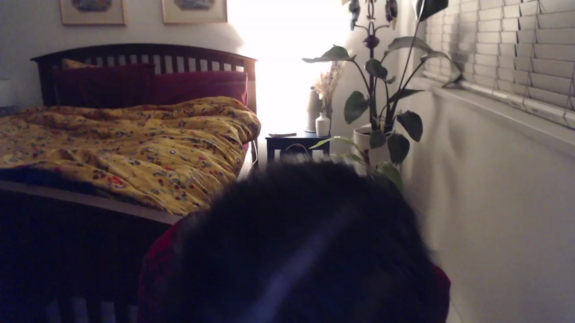 Gallery image thumbnail from AAAAAGHHHHHHH's myfreecams stream on, 11/27/2023, 04:01 image 16 of 20