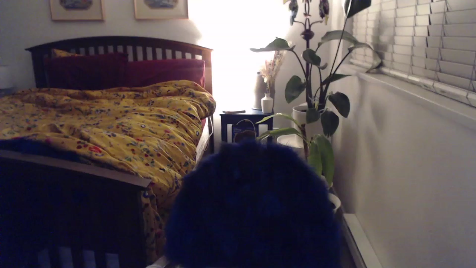 Gallery image thumbnail from AAAAAGHHHHHHH's myfreecams stream on, 11/27/2023, 04:01 image 18 of 20