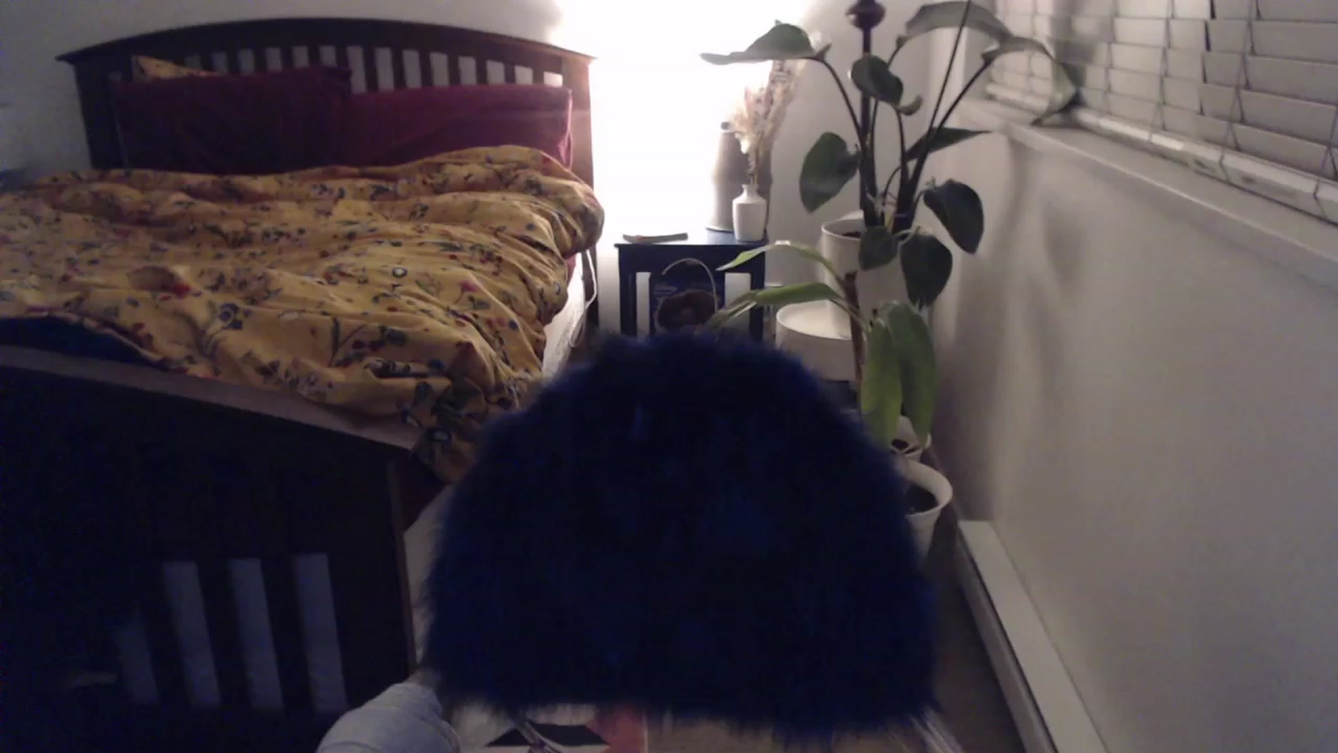 Gallery image thumbnail from AAAAAGHHHHHHH's myfreecams stream on, 11/27/2023, 04:01 image 5 of 20