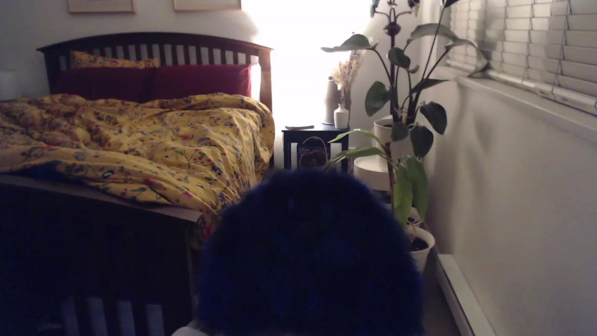 Gallery image thumbnail from AAAAAGHHHHHHH's myfreecams stream on, 11/28/2023, 05:14 image 6 of 20