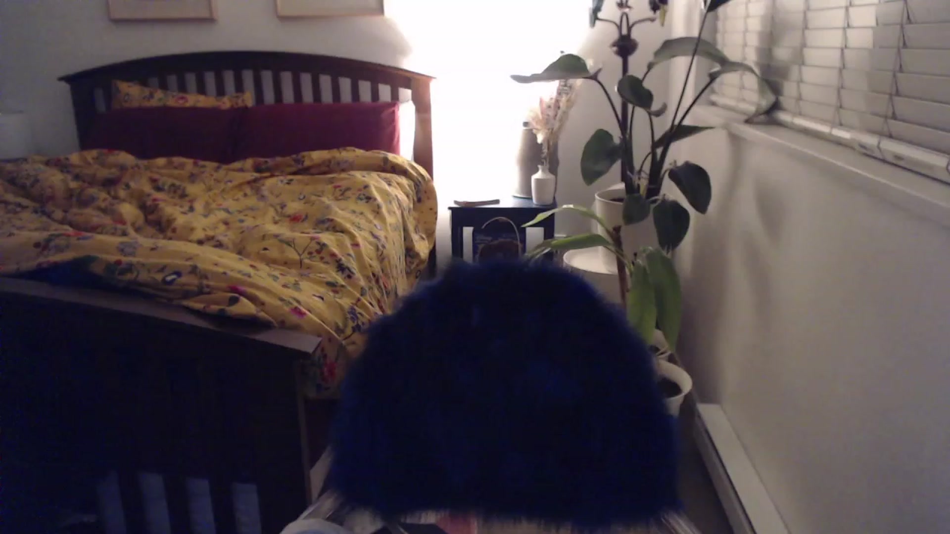 Gallery image thumbnail from AAAAAGHHHHHHH's myfreecams stream on, 11/28/2023, 05:14 image 11 of 20