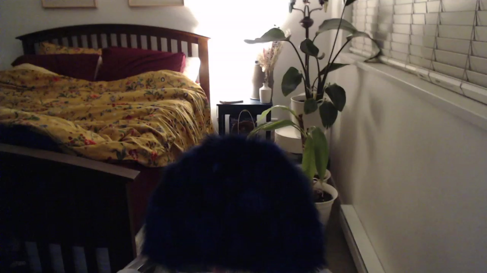 Gallery image thumbnail from AAAAAGHHHHHHH's myfreecams stream on, 12/03/2023, 04:47 image 18 of 20