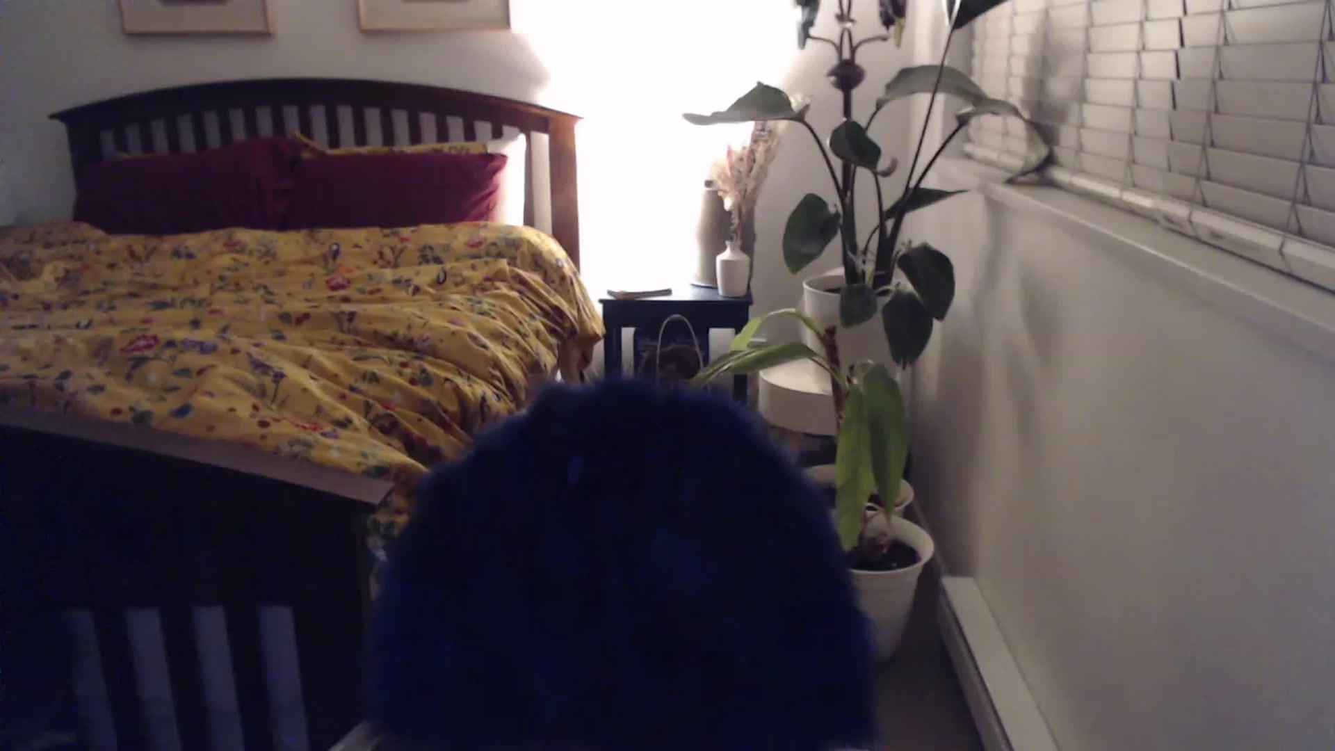Gallery image thumbnail from AAAAAGHHHHHHH's myfreecams stream on, 12/04/2023, 02:54 image 18 of 20
