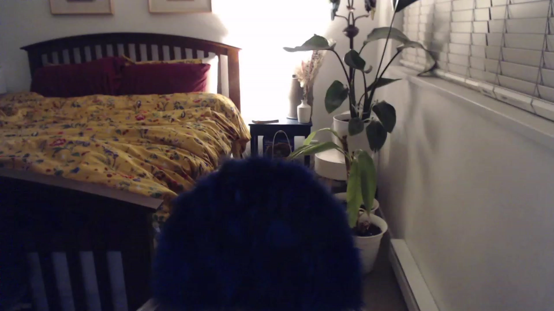 Gallery image thumbnail from AAAAAGHHHHHHH's myfreecams stream on, 12/04/2023, 02:54 image 11 of 20