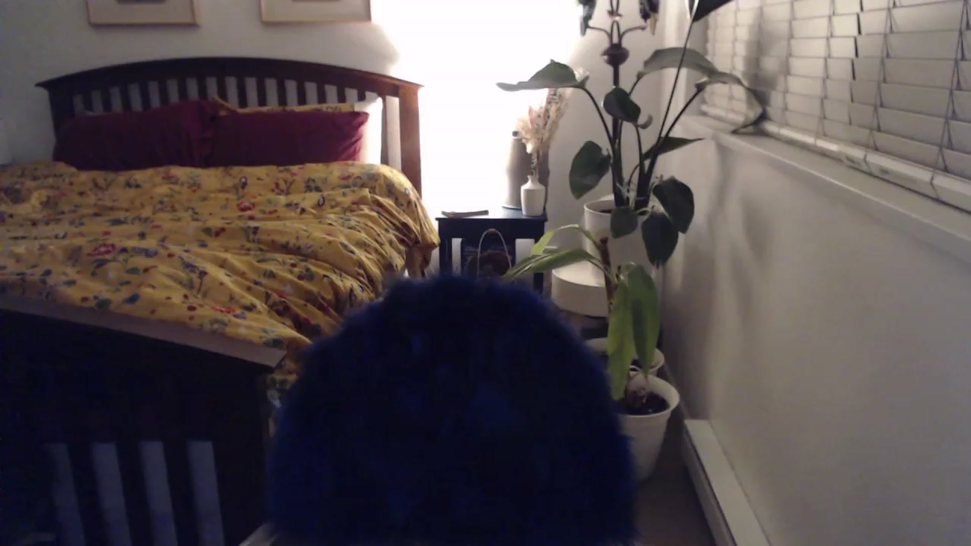 Gallery image thumbnail from AAAAAGHHHHHHH's myfreecams stream on, 12/04/2023, 02:54 image 12 of 20