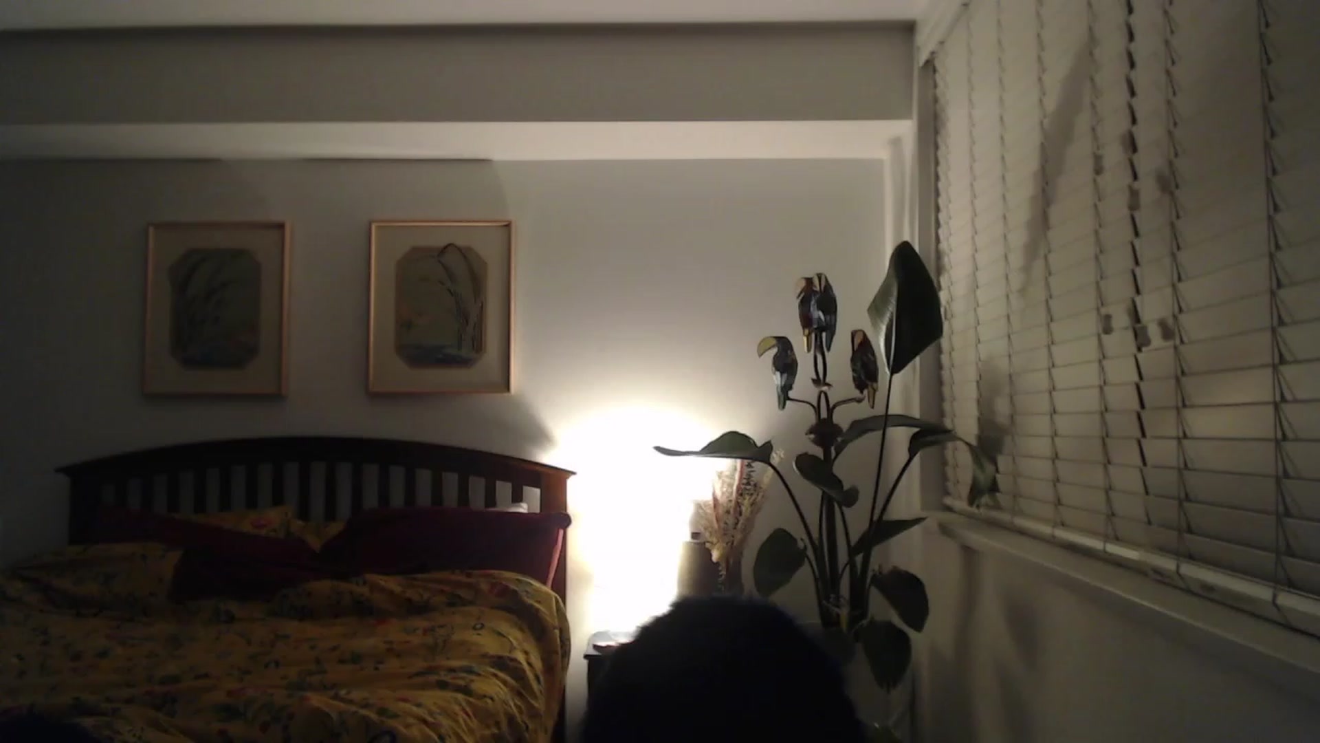 Gallery image thumbnail from AAAAAGHHHHHHH's myfreecams stream on, 12/12/2023, 04:09 image 4 of 20
