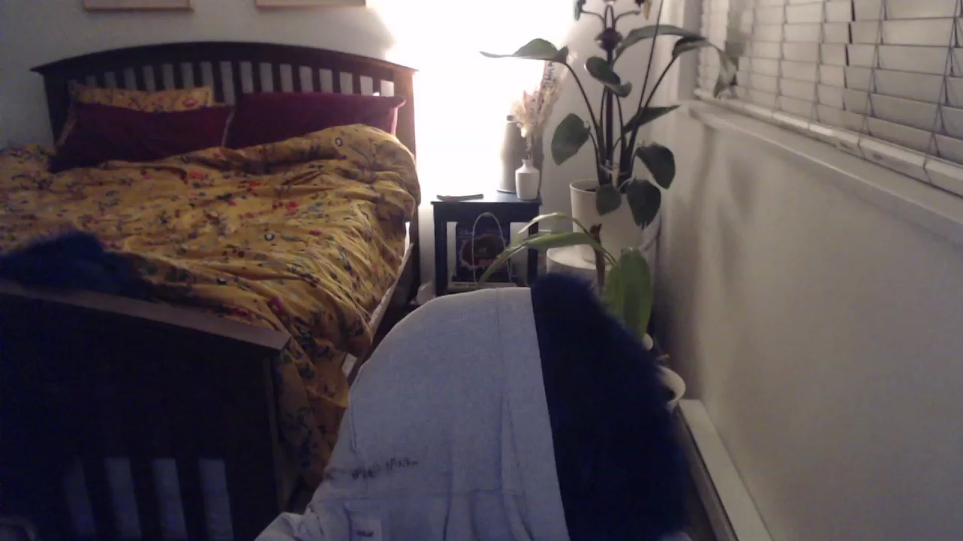 Gallery image thumbnail from AAAAAGHHHHHHH's myfreecams stream on, 12/13/2023, 04:40 image 18 of 20