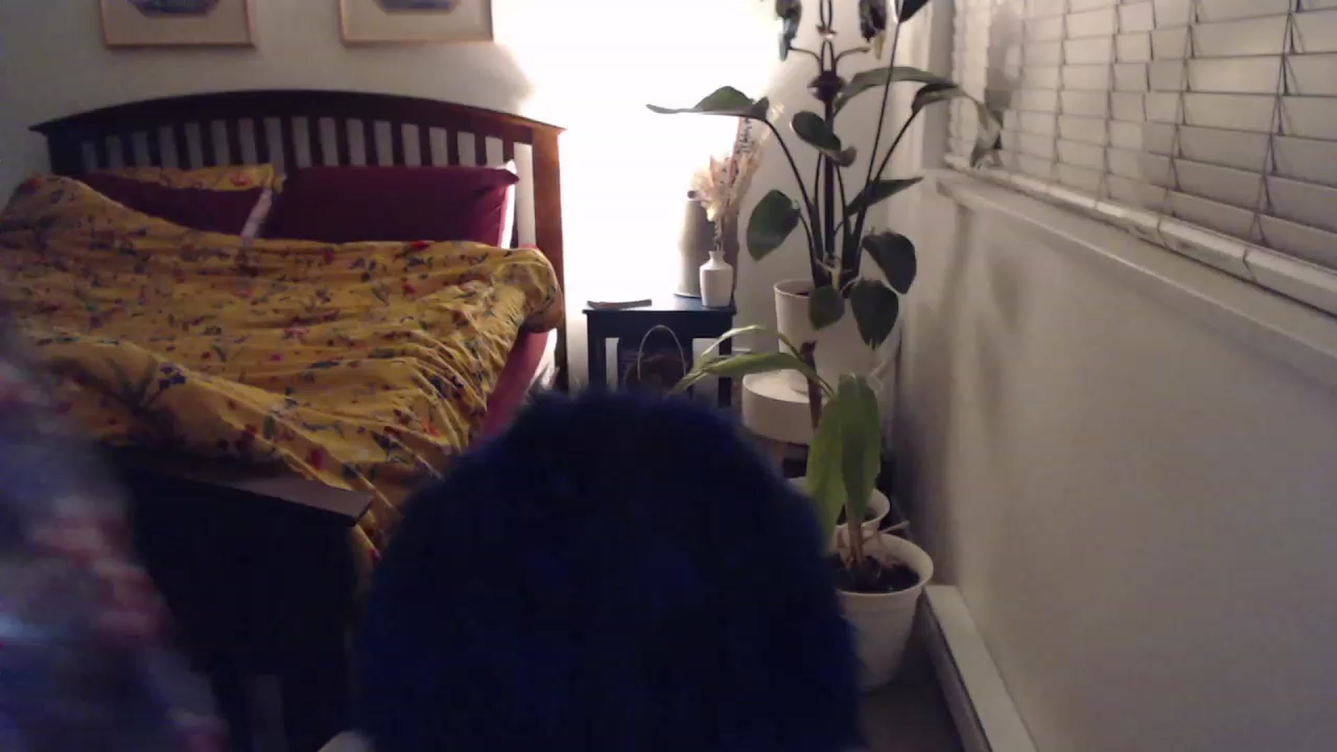 Gallery image thumbnail from AAAAAGHHHHHHH's myfreecams stream on, 12/14/2023, 04:47 image 12 of 20
