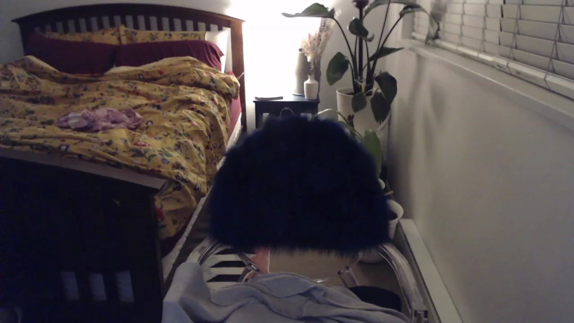Gallery image thumbnail from AAAAAGHHHHHHH's myfreecams stream on, 12/20/2023, 04:41 image 19 of 20