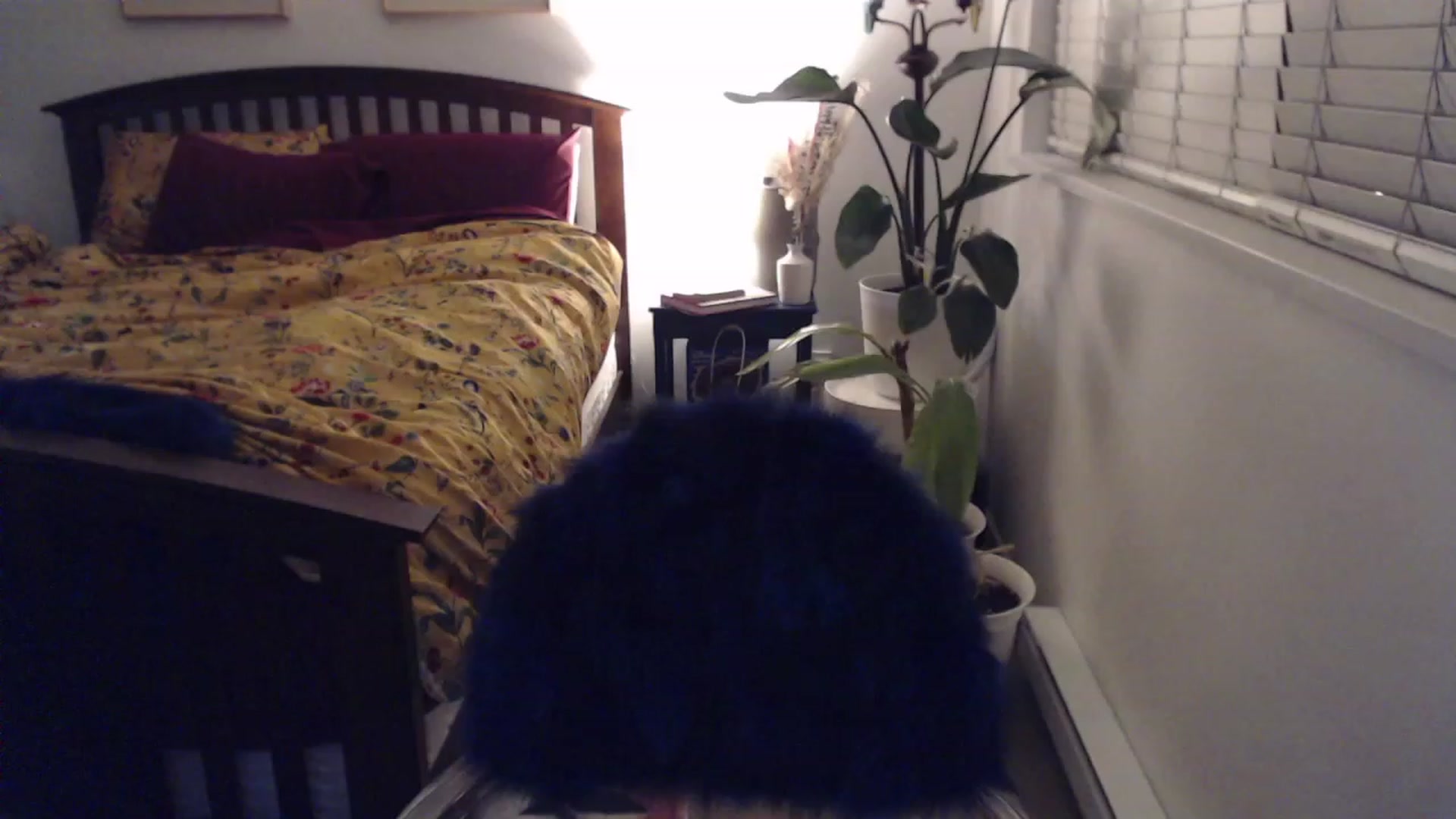 Gallery image thumbnail from AAAAAGHHHHHHH's myfreecams stream on, 12/28/2023, 04:14 image 3 of 20