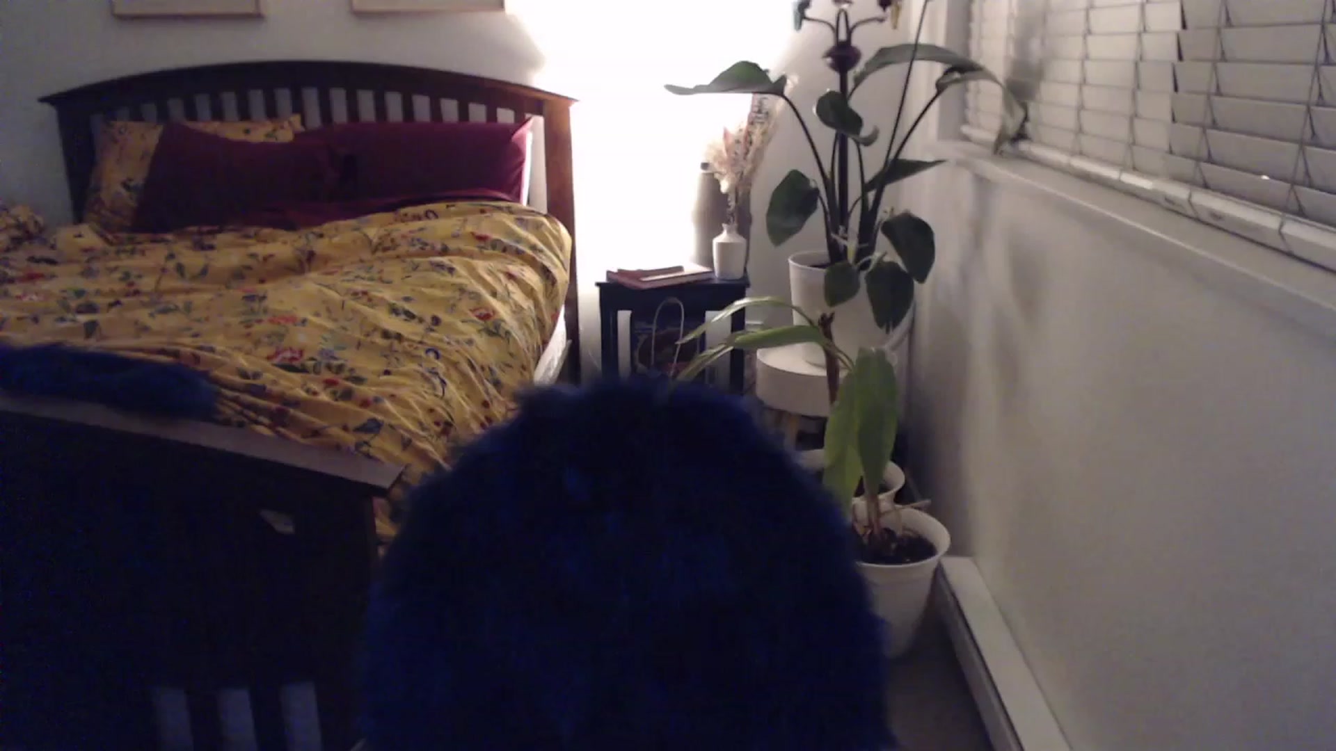 Gallery image thumbnail from AAAAAGHHHHHHH's myfreecams stream on, 12/28/2023, 04:14 image 19 of 20