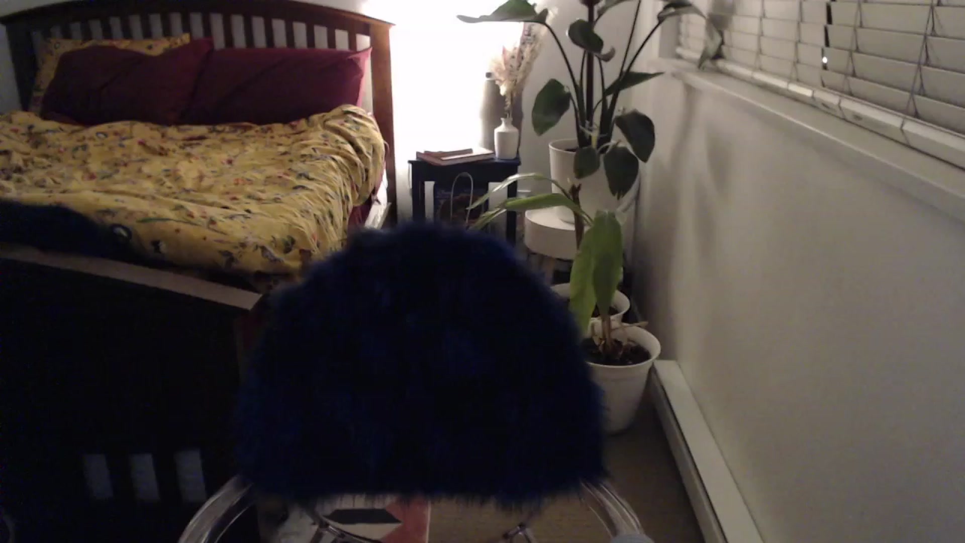 Gallery image thumbnail from AAAAAGHHHHHHH's myfreecams stream on, 12/30/2023, 04:34 image 7 of 20