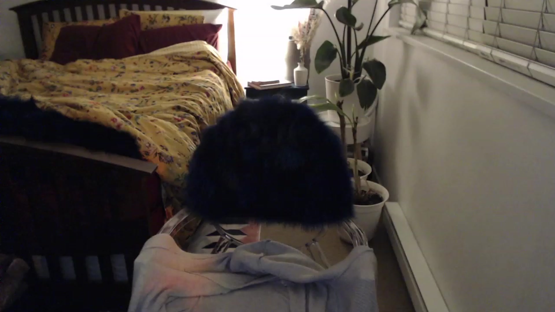 Gallery image thumbnail from AAAAAGHHHHHHH's myfreecams stream on, 01/10/2024, 06:11 image 17 of 20
