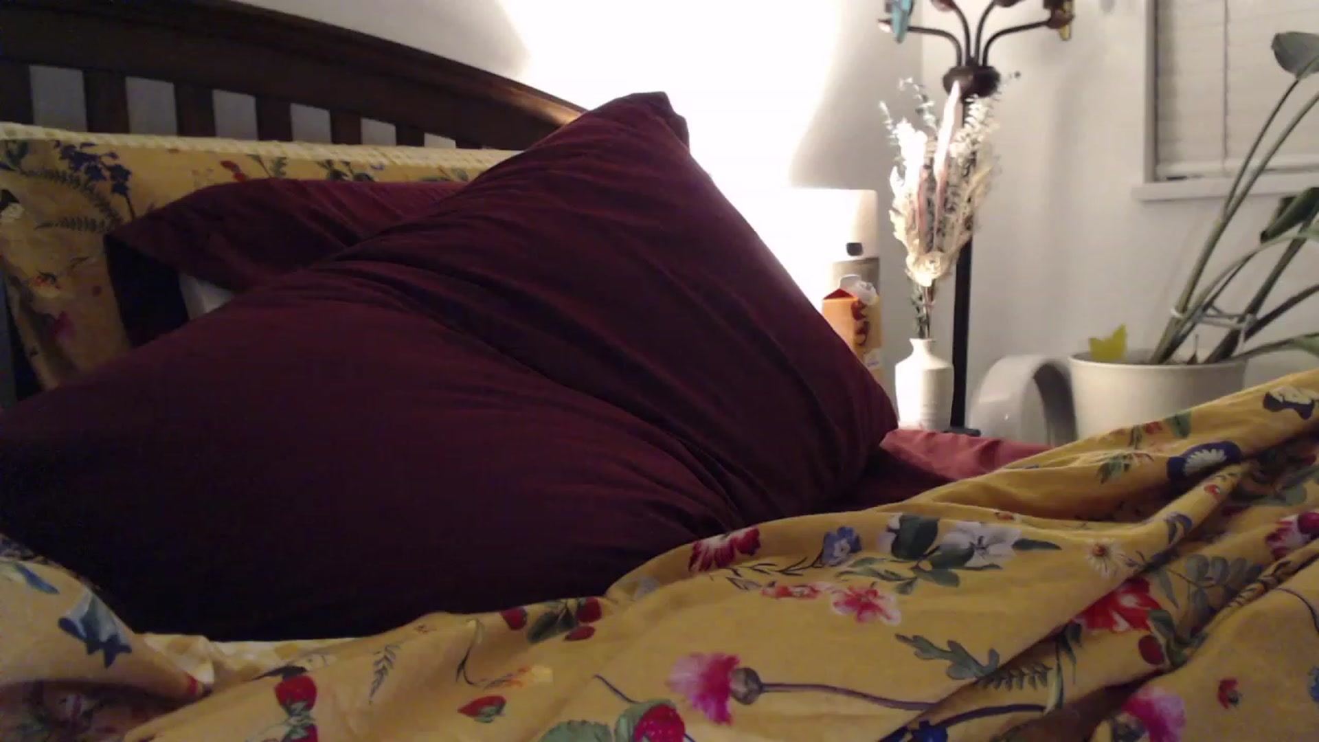 Gallery image thumbnail from AAAAAGHHHHHHH's myfreecams stream on, 01/16/2024, 03:14 image 19 of 20