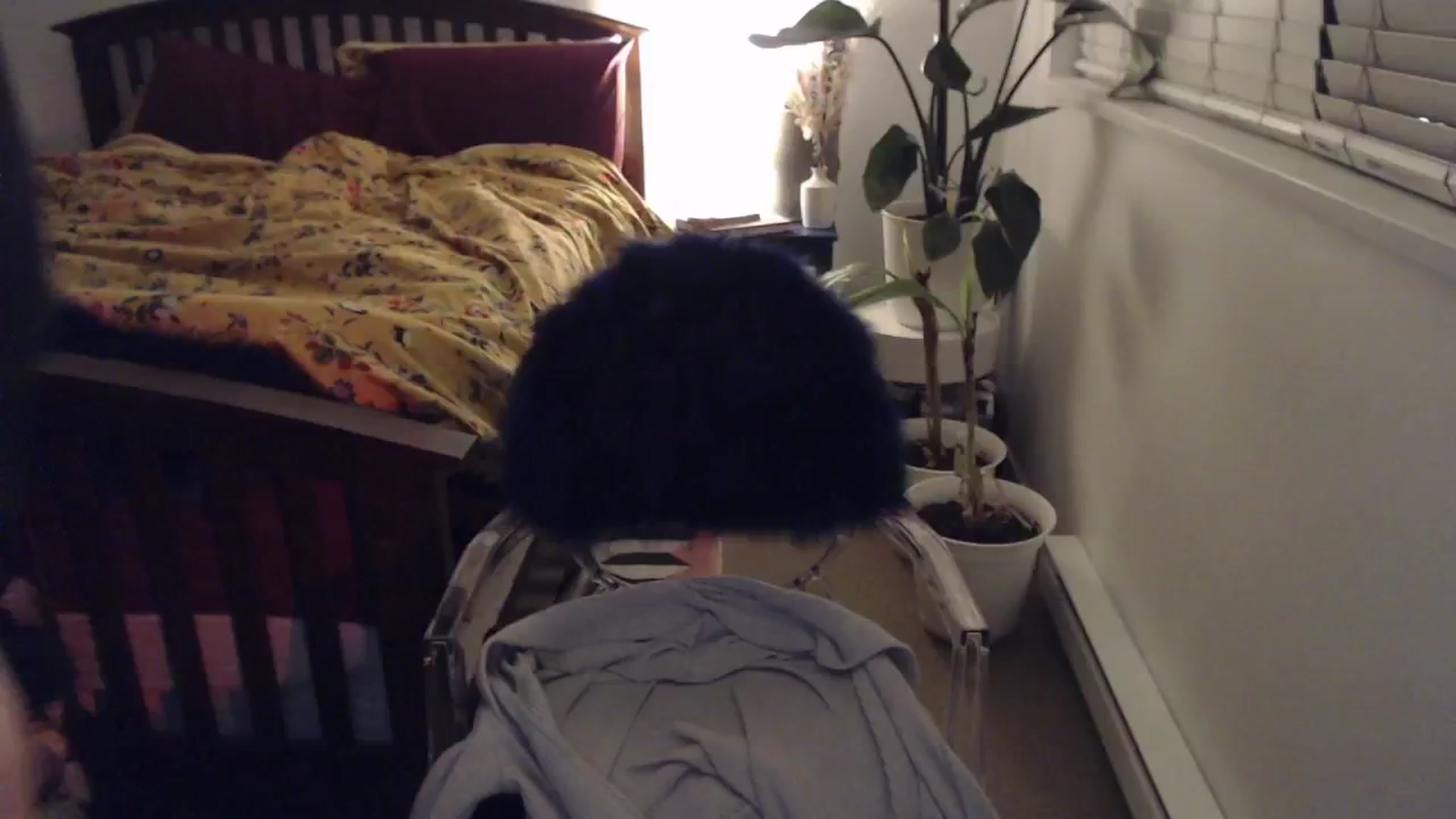 Gallery image thumbnail from AAAAAGHHHHHHH's myfreecams stream on, 01/17/2024, 05:59 image 4 of 20