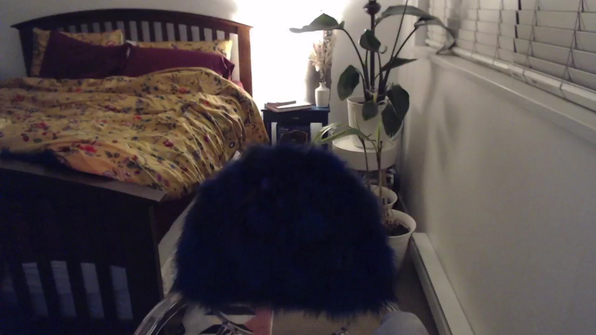 Gallery image thumbnail from AAAAAGHHHHHHH's myfreecams stream on, 01/20/2024, 04:36 image 14 of 20