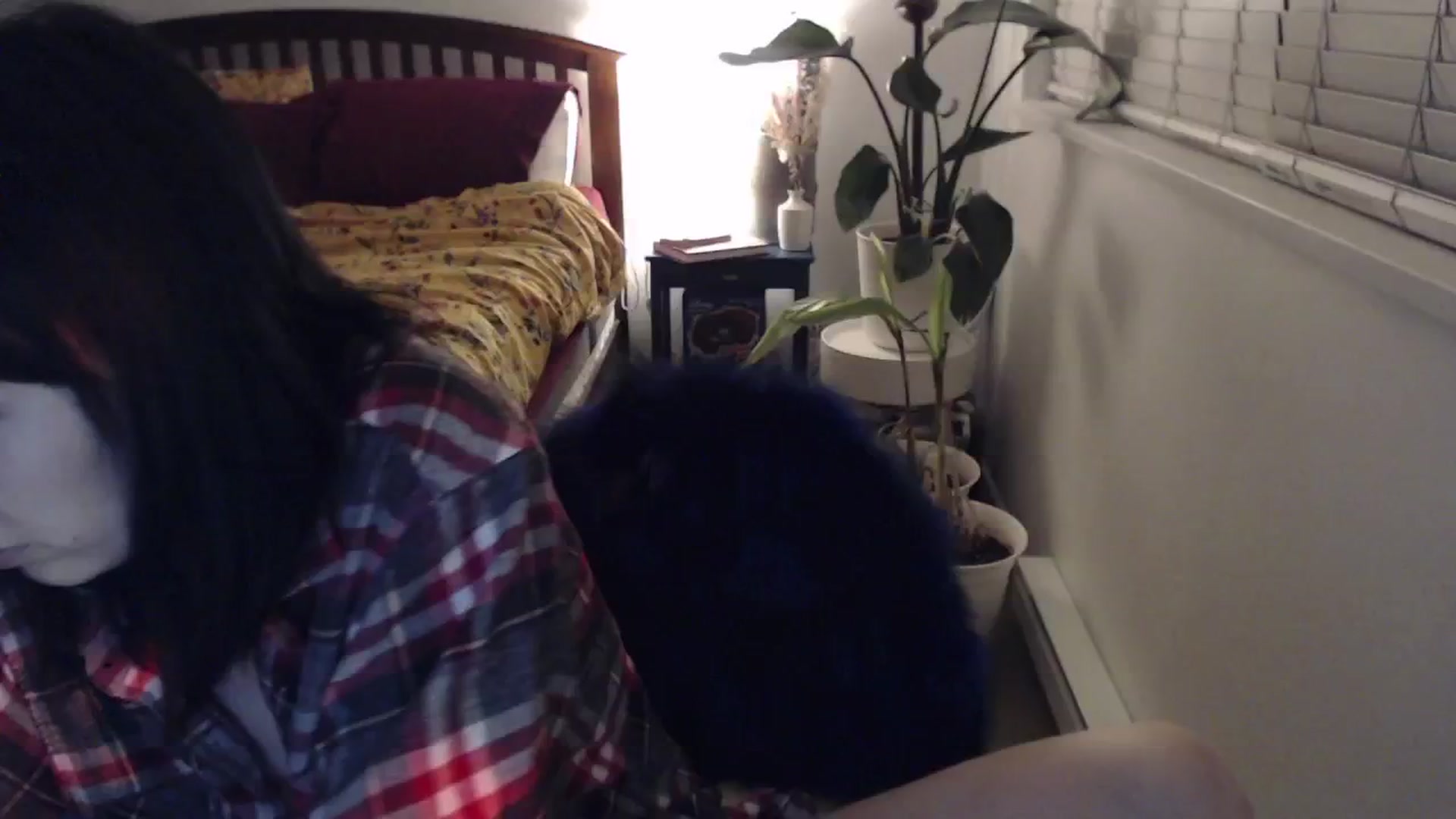 Gallery image thumbnail from AAAAAGHHHHHHH's myfreecams stream on, 01/22/2024, 02:39 image 9 of 20