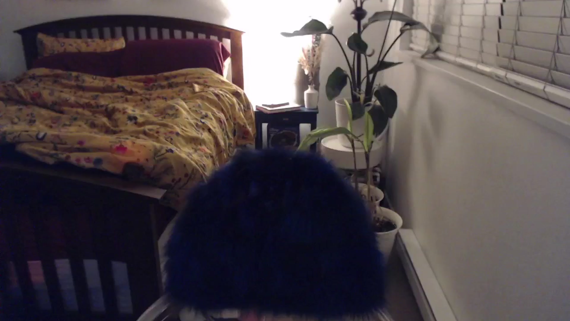 Gallery image thumbnail from AAAAAGHHHHHHH's myfreecams stream on, 01/24/2024, 05:56 image 8 of 20