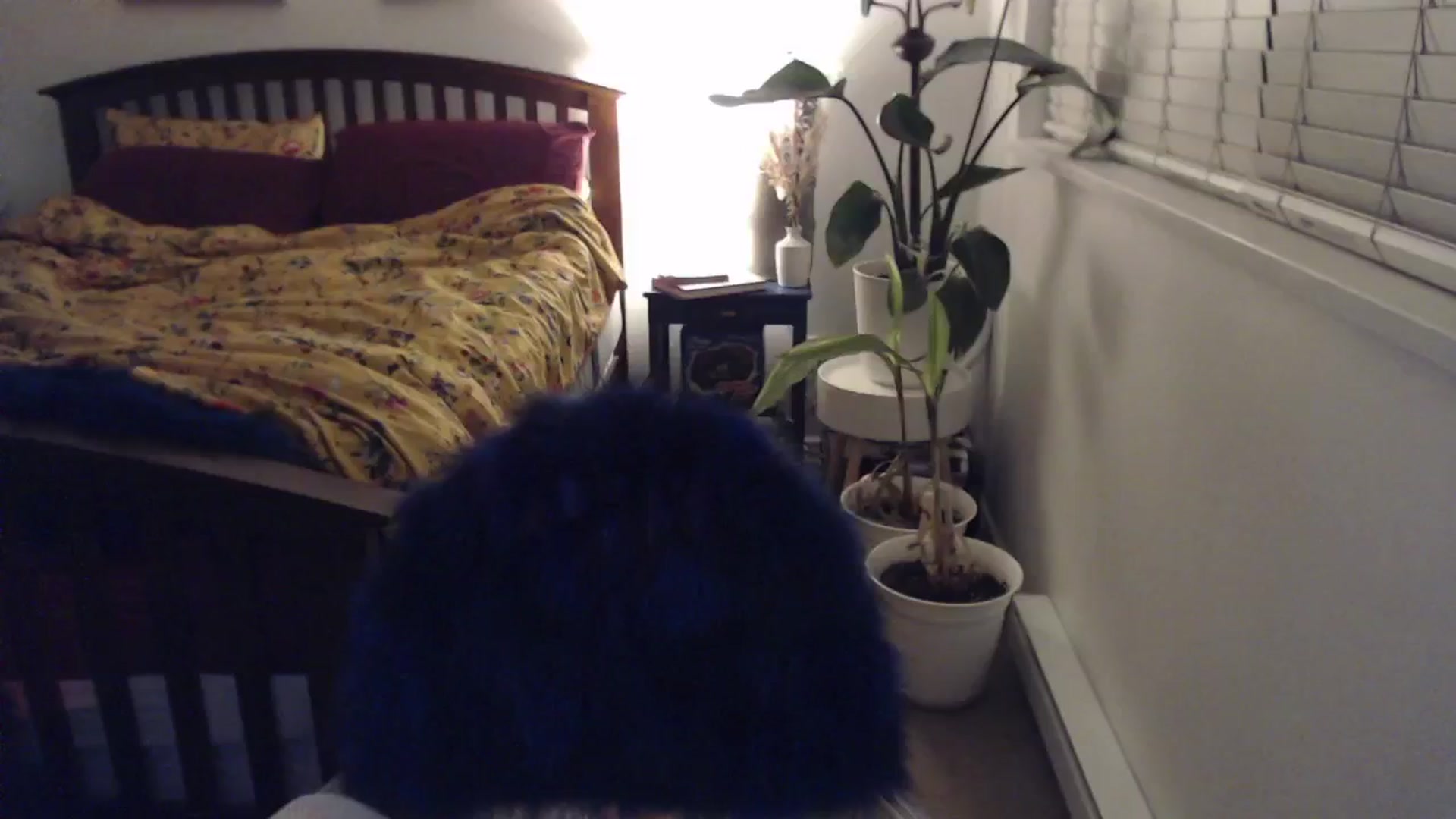 Gallery image thumbnail from AAAAAGHHHHHHH's myfreecams stream on, 01/26/2024, 04:20 image 11 of 20