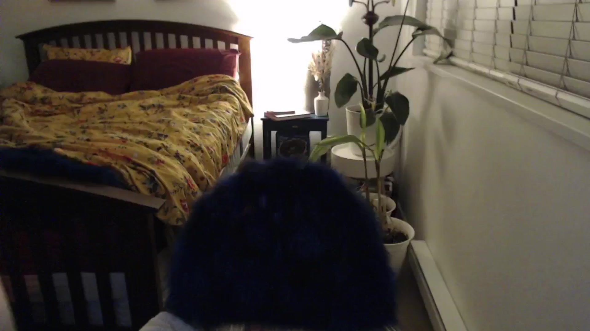 Gallery image thumbnail from AAAAAGHHHHHHH's myfreecams stream on, 01/26/2024, 05:34 image 10 of 20
